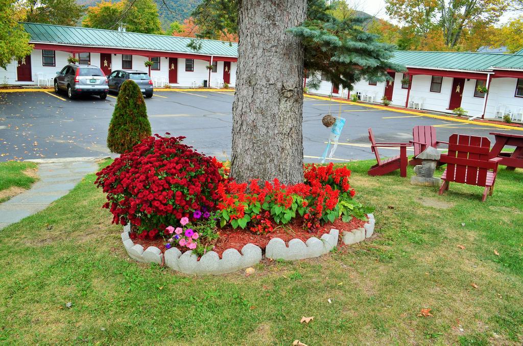 Williamstown Motel Exteriör bild